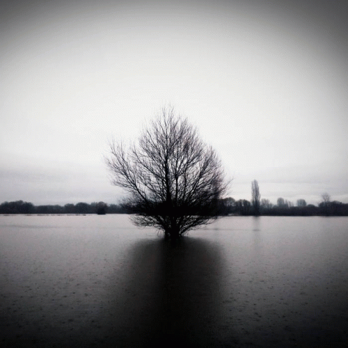 Esoctrilihum : Lüthirkys Spasmuldis (Near Death)